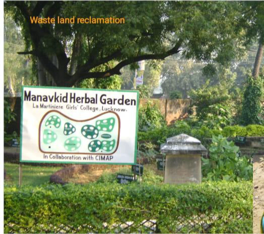 Herbal Garden Planted