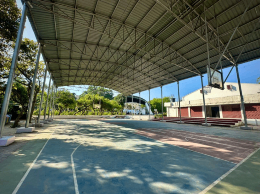 Basketball Court Upgrade
